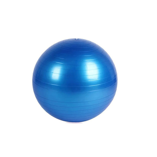 Anti-Burst Exercise Heavy Duty Gym Ball (Multicolour) (75Cm) (No Box & No Pump)